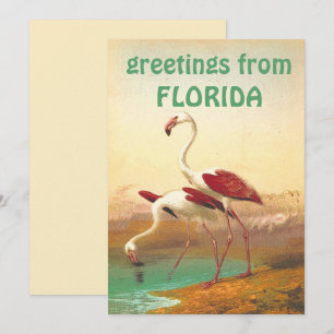 Retro Flamingo's Groeten Uit Florida Reis Kaart