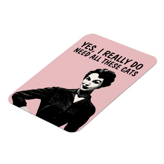 RETRO FUNNY CHAT MAGNETS (Côté Gauche)