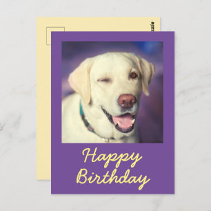Retro Funny Dog en Happy Birthday Briefkaart