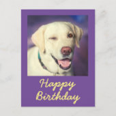 Retro Funny Dog en Happy Birthday Briefkaart (Voorkant)