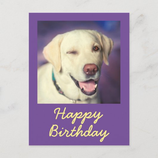 Retro Funny Dog en Happy Birthday Briefkaart (Voorkant)