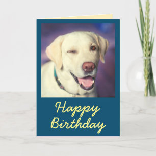 Retro Funny Dog en Happy Birthday Kaart