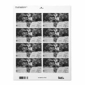 Retro Gray Bull Foto Etiket (Full Sheet)