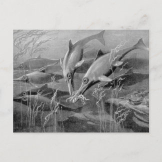 retro ichthyosaur zwart-wit afbeelding briefkaart