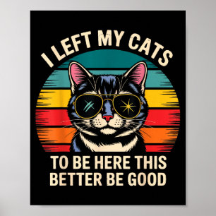 Retro ik heb mijn kat achtergelaten om hier te zij poster