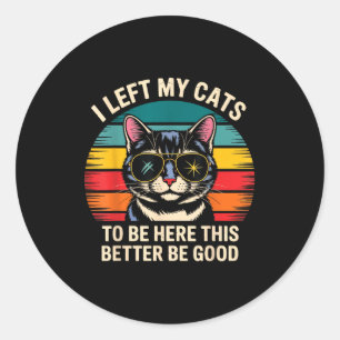 Retro Ik Liet Mijn Kat Hier Om Hier Te Zijn Dit Is Ronde Sticker