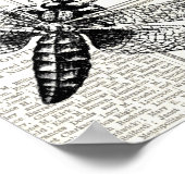 Retro Insect Newspaper Black and White Poster (Hoek)