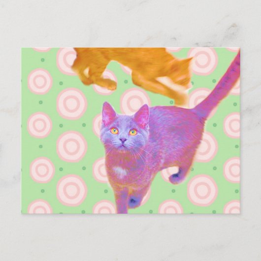 Retro-Katten kaart (Voorkant)