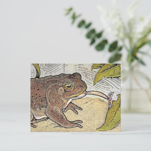 Retro Kikkerboek Illustratie Briefkaart (Staand voorkant)