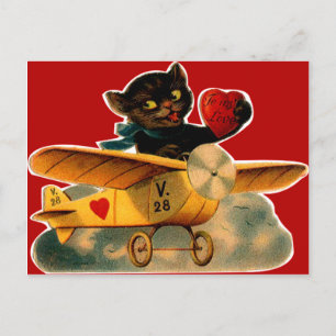 retro kitten in vliegtuig Valentijn Feestdagenkaart