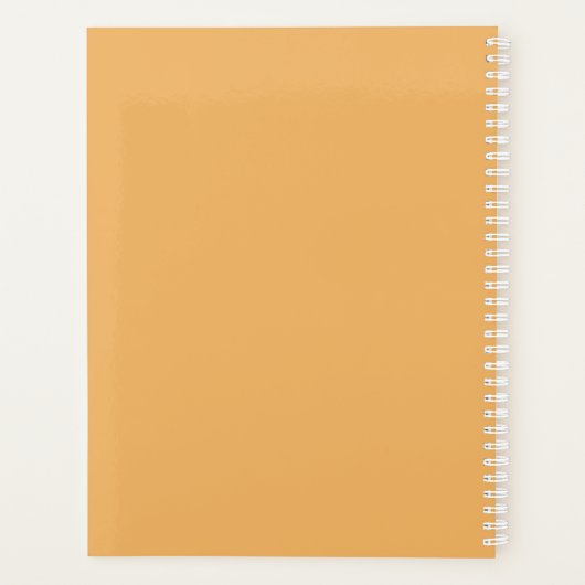 Retro Kleuren Sinaasappel Roze Gouden Strepen Scri Planner (Achterkant)