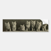 Retro Old Time Kittens Katten Katten Bumpersticker (Voorkant)