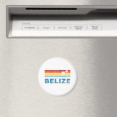 Retro Palm Tree Belize Magneet (Insitu (Vaatwasser))