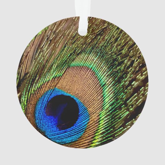 Rétro Peacock (dos)