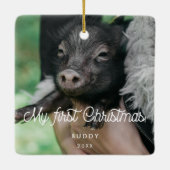 Retro Pet's eerste kerstfoto Keramisch Ornament (Achterkant)