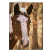 Retro Pinto (Devant)