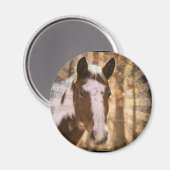 Retro Pinto Magneet (Voorkant / Achterkant)