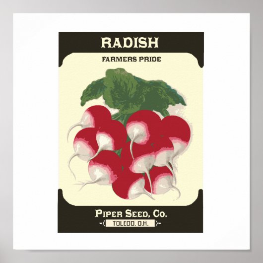 Retro Radish Vegetable Seed Packet Poster Print (Voorkant)