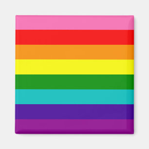 Retro Rainbow 8 Pride Magneet
