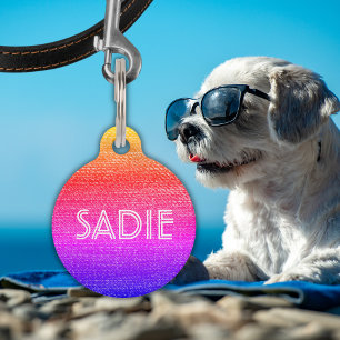 Retro Rainbow Dog of Cat Name & Information Huisdierpenning