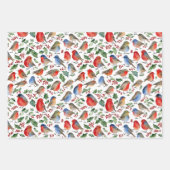 Retro Red White Robin Kerstfruit Waterverf Inpakpapier Vel (Voorkant)