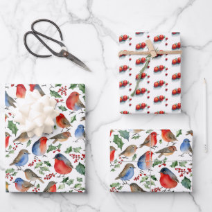 Retro Rode Witte Roodborst Kerst Fruit Waterverf  Inpakpapier Vel