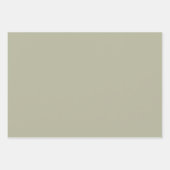 Retro Santa Pink & Sage Christmas Wrapping Sheets Inpakpapier Vel (Voorkant 3)