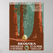 Retro Sequoia National Park Reizen Poster (Voorkant)