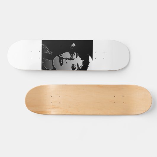 Retro Skateboard (Horizontaal)