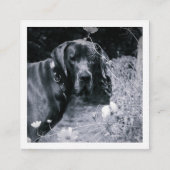 Retro Style Black Red Professional Vierkante Visitekaartje (Achterkant)