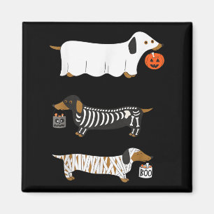 Retro Teckel Halloween Wiener Hond Pompoen Weeni Magneet
