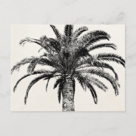 Retro Tropical Island Palm Tree (zwart-wit) Briefkaart