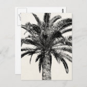 Retro Tropical Island Palm Tree (zwart-wit) Briefkaart (Voorkant / Achterkant)