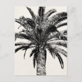 Retro Tropical Island Palm Tree (zwart-wit) Briefkaart