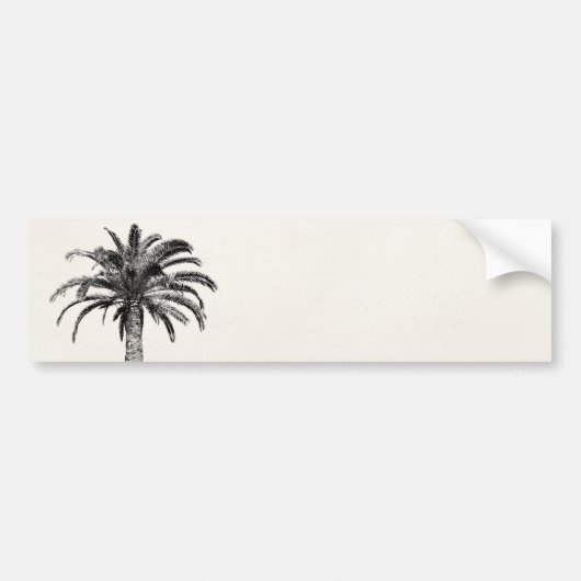 Retro Tropical Island Palm Tree (zwart-wit) Bumpersticker (Voorkant)