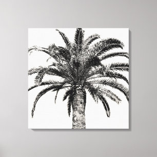 Retro Tropical Island Palm Tree (zwart-wit) Canvas Afdruk