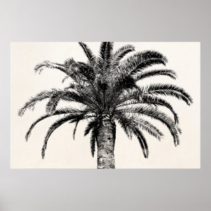 Retro Tropical Island Palm Tree (zwart-wit) Poster