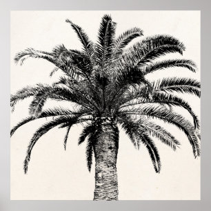 Retro Tropical Island Palm Tree (zwart-wit) Poster