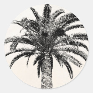 Retro Tropical Island Palm Tree (zwart-wit) Ronde Sticker