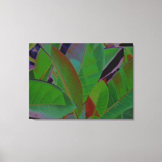 Retro tropische verbinding canvas afdruk (Voorkant)