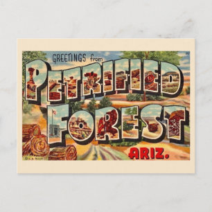 Retro versteend woud Arizona ansichtkaart Briefkaart