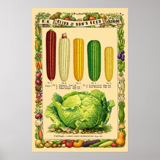 Retro Victoriaanse tijdperk botanische kunst van m Poster (Voorkant)