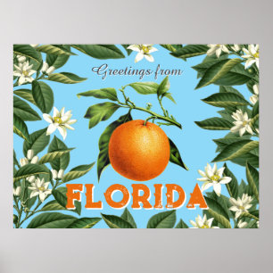 Retro Vintage Groeten uit Florida Sinaasappel Frui Poster
