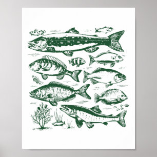 Retro vissoorten Biologie Soorten Zoetwatervis Poster
