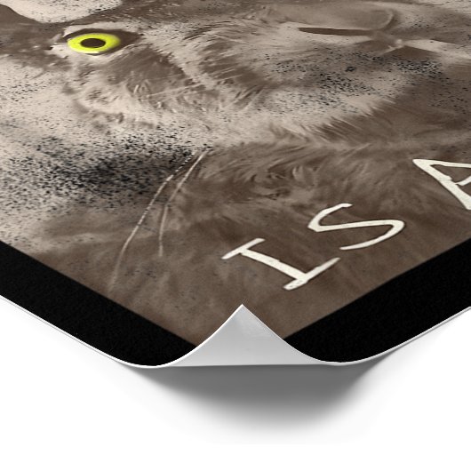 Retro Wie de FCK is Alice Funny Rabbit Poster (Hoek)