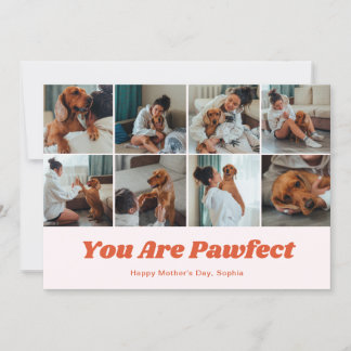 Retro You Are Pawfect Dog Mom 12 Photo Pink Feestdagenkaart