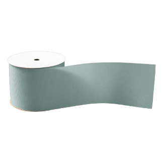 Retro Zachte Mint Design Grosgrain Lint