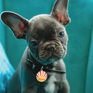 Retro Zonsondergang Zonnestralen Gepersonaliseerde Huisdierpenning