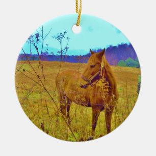 Retrokleurige paarden keramisch ornament