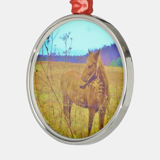 Retrokleurige paarden metalen ornament (Links)